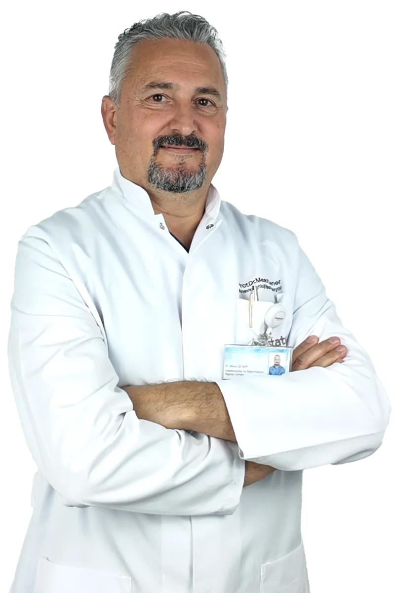Prof. Dr. Mesut Şener